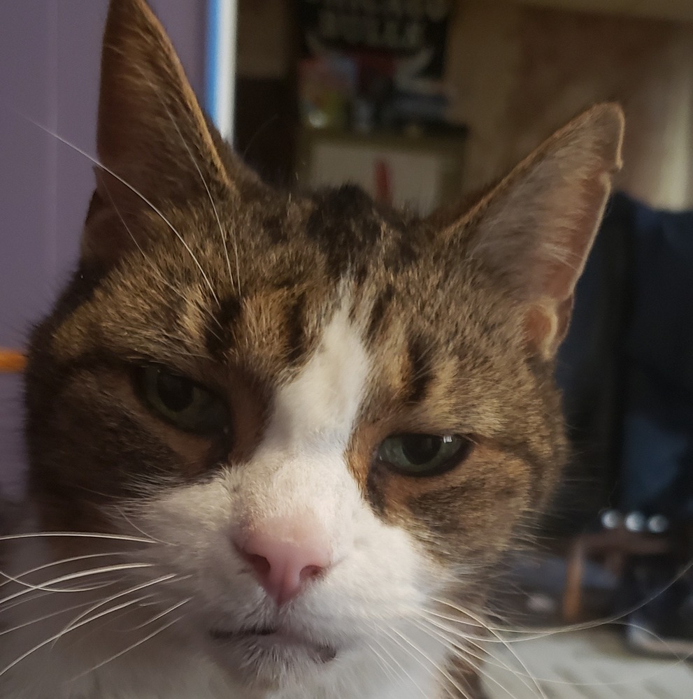 Meet your Posher, Eddie